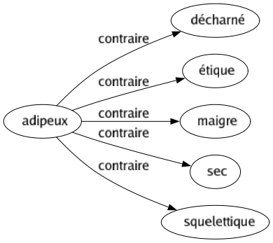 Contraire de Adipeux : Décharné Étique Maigre Sec Squelettique 
