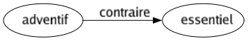 Contraire de Adventif : Essentiel 