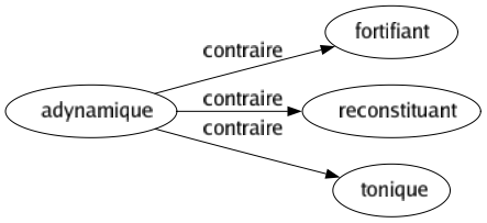 Contraire de Adynamique : Fortifiant Reconstituant Tonique 