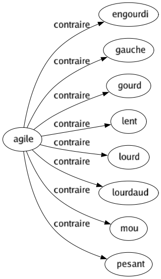 Contraire de Agile : Engourdi Gauche Gourd Lent Lourd Lourdaud Mou Pesant 