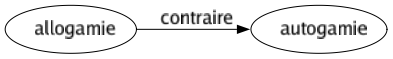 Contraire de Allogamie : Autogamie 