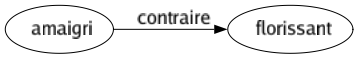 Contraire de Amaigri : Florissant 