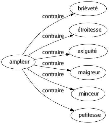 Contraire de Ampleur : Brièveté Étroitesse Exiguïté Maigreur Minceur Petitesse 