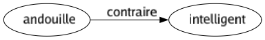 Contraire de Andouille : Intelligent 