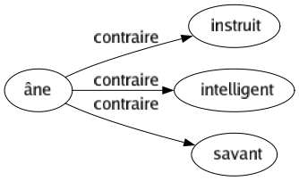 Contraire de Âne : Instruit Intelligent Savant 
