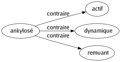 Contraire de Ankylosé : Actif Dynamique Remuant 