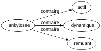 Contraire de Ankylosee : Actif Dynamique Remuant 