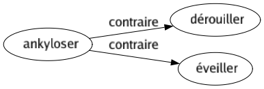 Contraire de Ankyloser : Dérouiller Éveiller 
