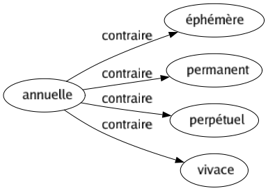 Contraire de Annuelle : Éphémère Permanent Perpétuel Vivace 