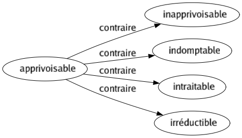 Contraire de Apprivoisable : Inapprivoisable Indomptable Intraitable Irréductible 