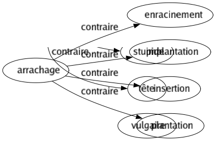 Contraire de Arrachage : Enracinement Implantation Insertion Plantation 