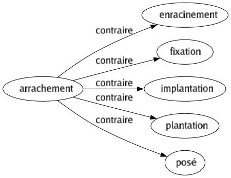 Contraire de Arrachement : Enracinement Fixation Implantation Plantation Posé 