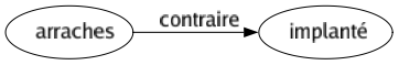 Contraire de Arraches : Implanté 