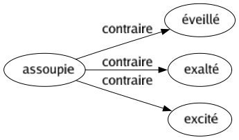 Contraire de Assoupie : Éveillé Exalté Excité 