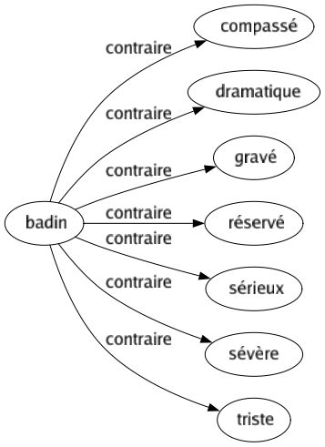 Contraire de Badin : Compassé Dramatique Gravé Réservé Sérieux Sévère Triste 