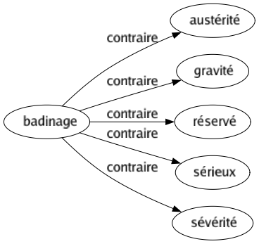 Contraire de Badinage : Austérité Gravité Réservé Sérieux Sévérité 