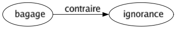 Contraire de Bagage : Ignorance 