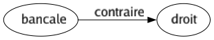 Contraire de Bancale : Droit 