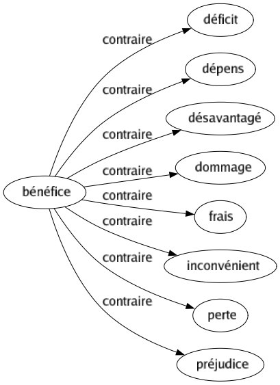 Contraire de Bénéfice : Déficit Dépens Désavantagé Dommage Frais Inconvénient Perte Préjudice 