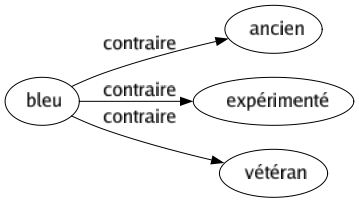 Contraire de Bleu : Ancien Expérimenté Vétéran 