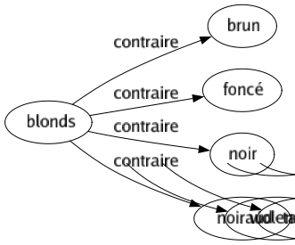 Contraire de Blonds : Brun Foncé Noir Noiraud 