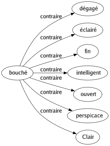 Contraire de Bouché : Dégagé Éclairé Fin Intelligent Ouvert Perspicace Clair 