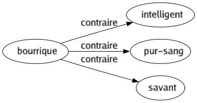 Contraire de Bourrique : Intelligent Pur-sang Savant 
