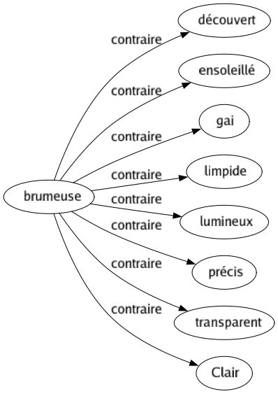 Contraire de Brumeuse : Découvert Ensoleillé Gai Limpide Lumineux Précis Transparent Clair 