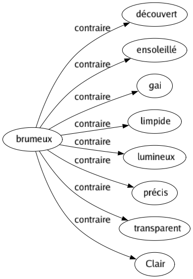 Contraire de Brumeux : Découvert Ensoleillé Gai Limpide Lumineux Précis Transparent Clair 
