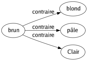 Contraire de Brun : Blond Pâle Clair 
