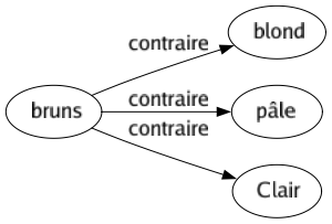 Contraire de Bruns : Blond Pâle Clair 