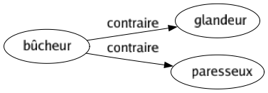 Contraire de Bûcheur : Glandeur Paresseux 