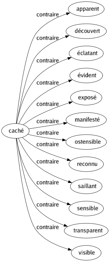 Contraire de Caché : Apparent Découvert Éclatant Évident Exposé Manifesté Ostensible Reconnu Saillant Sensible Transparent Visible 