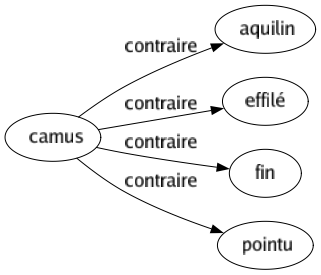Contraire de Camus : Aquilin Effilé Fin Pointu 