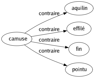 Contraire de Camuse : Aquilin Effilé Fin Pointu 