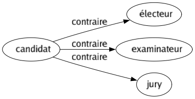 Contraire de Candidat : Électeur Examinateur Jury 