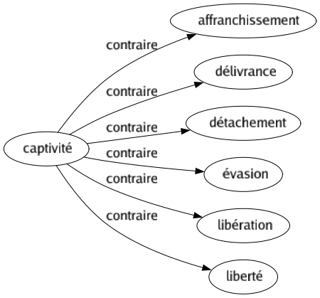 Contraire de Captivité : Affranchissement Délivrance Détachement Évasion Libération Liberté 