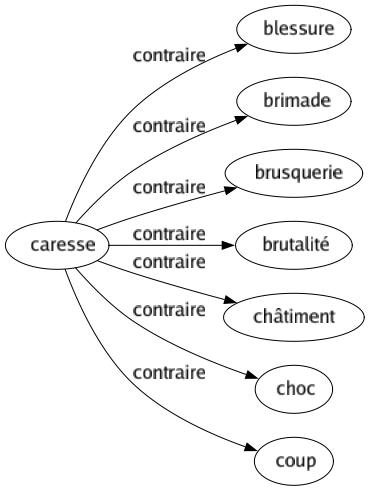 Contraire de Caresse : Blessure Brimade Brusquerie Brutalité Châtiment Choc Coup 
