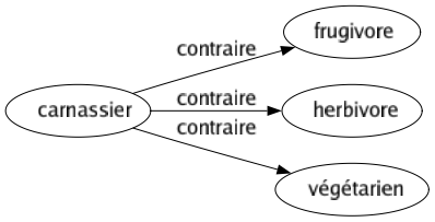 Contraire de Carnassier : Frugivore Herbivore Végétarien 