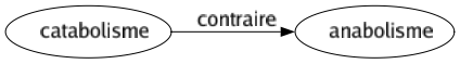 Contraire de Catabolisme : Anabolisme 