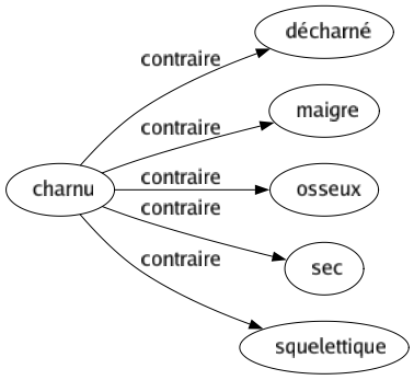 Contraire de Charnu : Décharné Maigre Osseux Sec Squelettique 