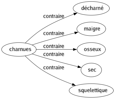 Contraire de Charnues : Décharné Maigre Osseux Sec Squelettique 