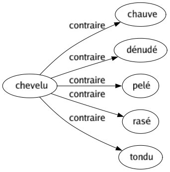 Contraire de Chevelu : Chauve Dénudé Pelé Rasé Tondu 