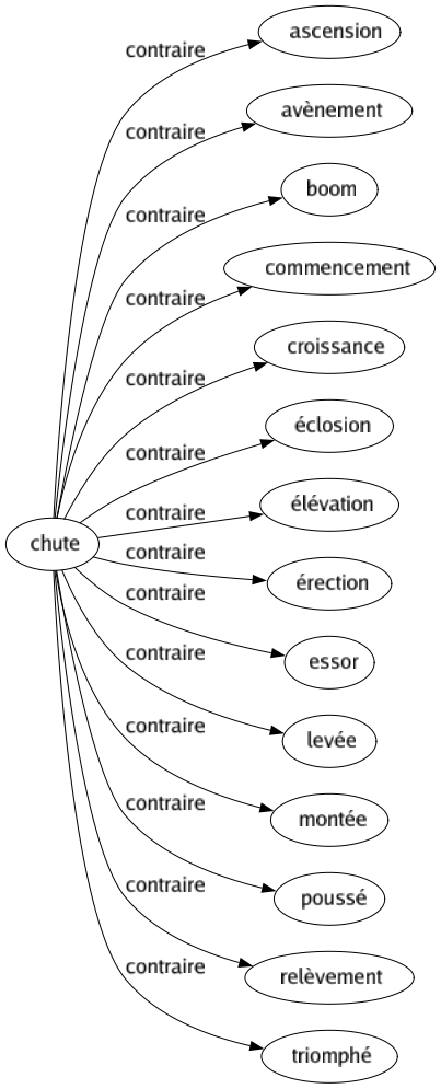 Contraire de Chute : Ascension Avènement Boom Commencement Croissance Éclosion Élévation Érection Essor Levée Montée Poussé Relèvement Triomphé 