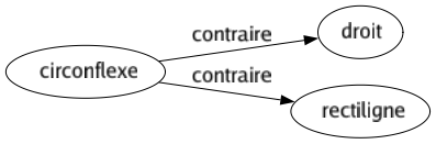 Contraire de Circonflexe : Droit Rectiligne 