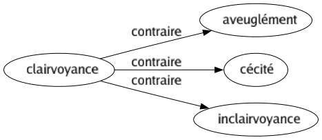 Contraire de Clairvoyance : Aveuglément Cécité Inclairvoyance 