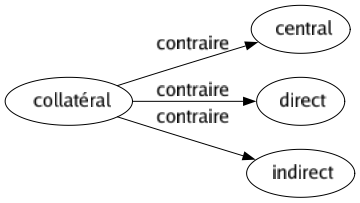 Contraire de Collatéral : Central Direct Indirect 