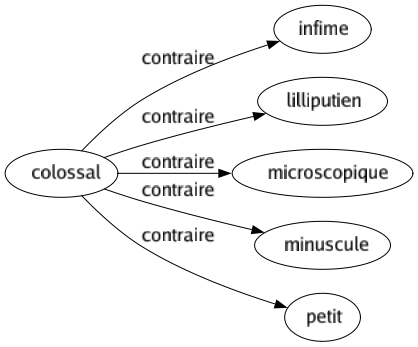 Contraire de Colossal : Infime Lilliputien Microscopique Minuscule Petit 