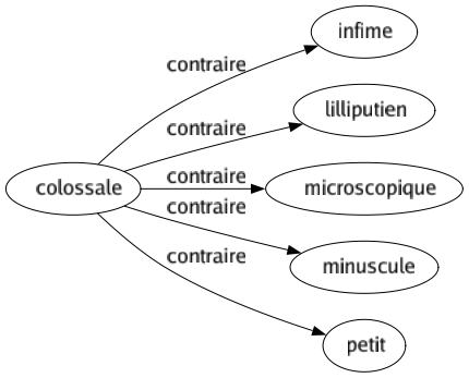 Contraire de Colossale : Infime Lilliputien Microscopique Minuscule Petit 