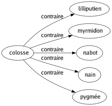 Contraire de Colosse : Lilliputien Myrmidon Nabot Nain Pygmée 